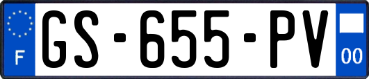 GS-655-PV