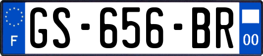 GS-656-BR