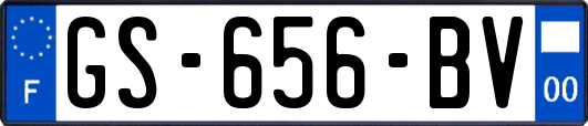 GS-656-BV