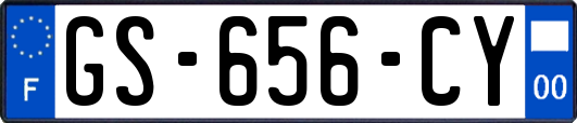 GS-656-CY