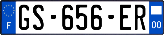 GS-656-ER