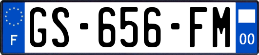 GS-656-FM