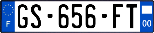 GS-656-FT