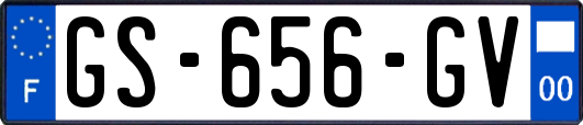 GS-656-GV