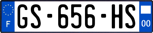 GS-656-HS
