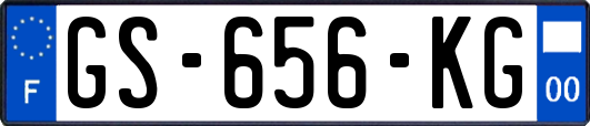 GS-656-KG