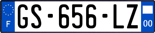 GS-656-LZ