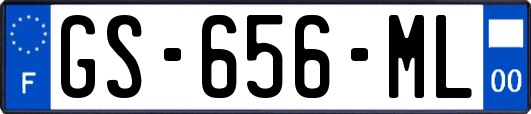 GS-656-ML