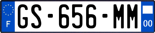 GS-656-MM