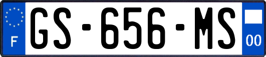 GS-656-MS