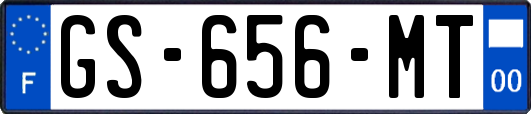 GS-656-MT
