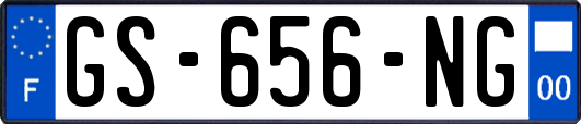 GS-656-NG