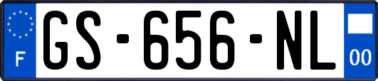 GS-656-NL