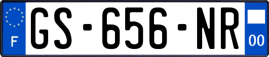 GS-656-NR