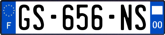 GS-656-NS