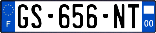 GS-656-NT