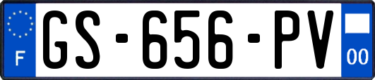 GS-656-PV
