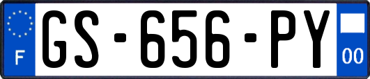 GS-656-PY