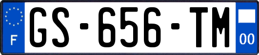 GS-656-TM