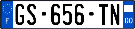GS-656-TN