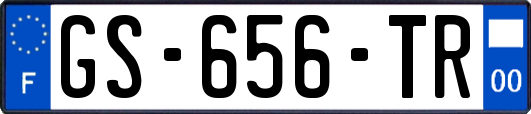 GS-656-TR