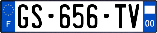 GS-656-TV