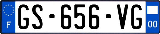 GS-656-VG