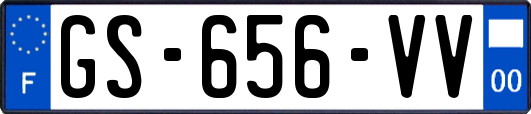 GS-656-VV