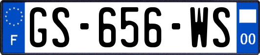 GS-656-WS
