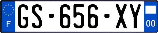 GS-656-XY
