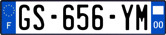 GS-656-YM