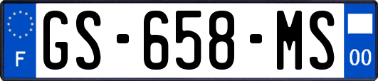 GS-658-MS