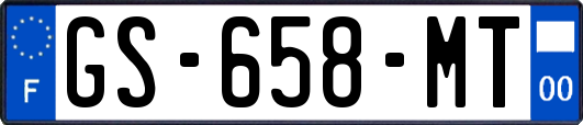 GS-658-MT