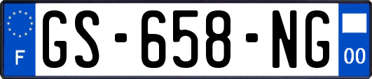 GS-658-NG