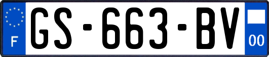 GS-663-BV