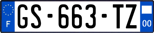 GS-663-TZ