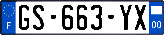 GS-663-YX