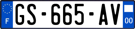 GS-665-AV