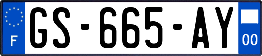 GS-665-AY