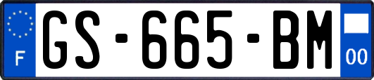 GS-665-BM