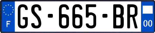 GS-665-BR