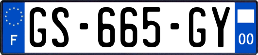 GS-665-GY