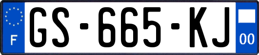 GS-665-KJ