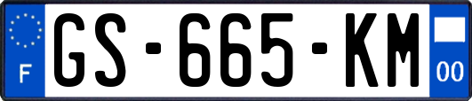 GS-665-KM