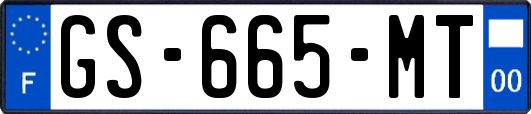 GS-665-MT
