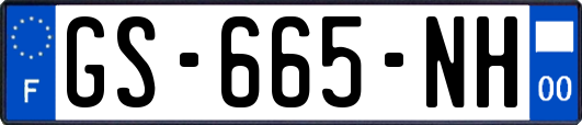 GS-665-NH