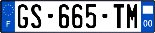 GS-665-TM