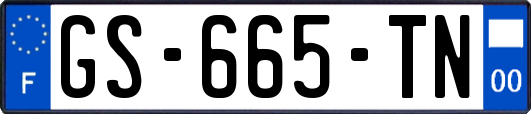 GS-665-TN