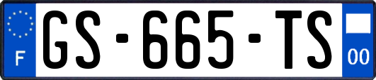 GS-665-TS
