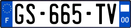 GS-665-TV